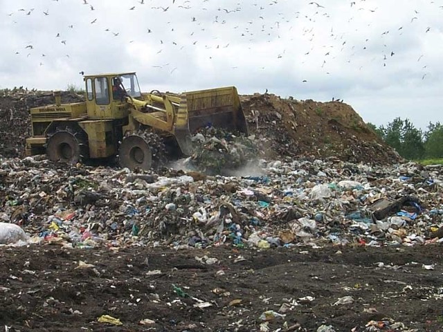 Ustawa śmieciowa ma wejść w życie w lipcu 2013 roku.