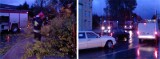 Słupsk. Skutki wichury: powalone drzewo zablokowało przejazd na ul. Westerplatte i Kozietulskiego