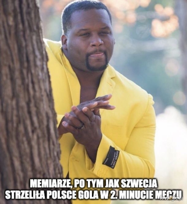 Polska - Szwecja 2:3 - Memy
