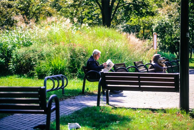 Park Alojzego BudniokaNajpiękniejsze parki w województwie śląskim. Gdzie warto wybrać się na spacer?Zobacz kolejne zdjęcia. Przesuwaj zdjęcia w prawo - naciśnij strzałkę lub przycisk NASTĘPNE