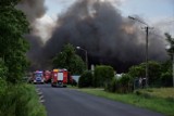 Ogromny pożar pod Złotnikami Kujawskimi. Paliło się składowisko tworzyw sztucznych w Lisewie Kościelnym [zdjęcia, wideo]