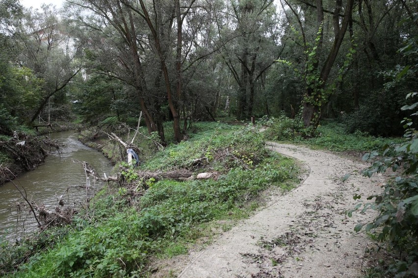 Kraków. Tworzą park rzeczny Wilga. Czy przyroda zostanie uszanowana?