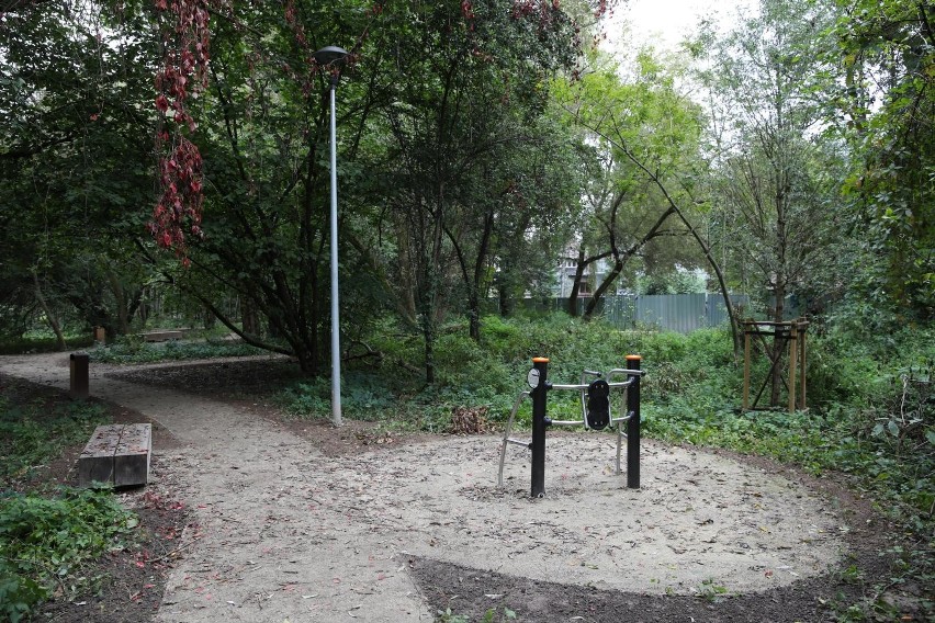 Kraków. Tworzą park rzeczny Wilga. Czy przyroda zostanie uszanowana?