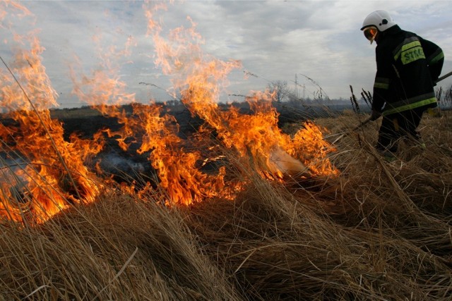 Wypalanie traw może przerodzić się w ogromny pożar, w którym zniszczeniu ulegną hektary pól i lasów, a także ludzkie siedziby