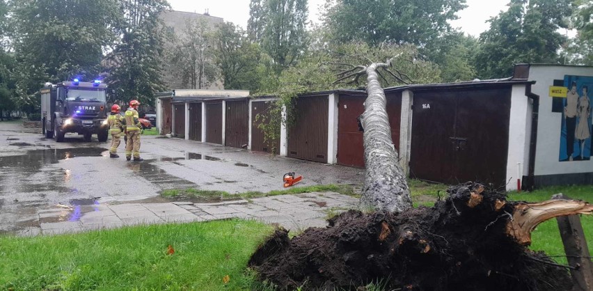 Drzewo powalone w okolicy ul. Słupskiej w Ustce