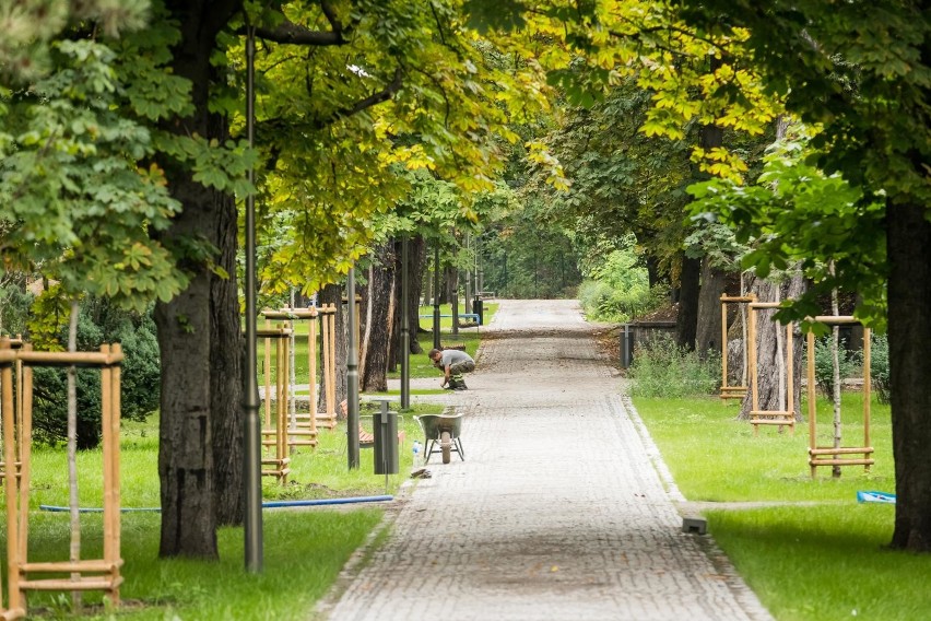 W parku Witosa pierwszy etap prac zmierza do końca. Jak teraz wygląda?  