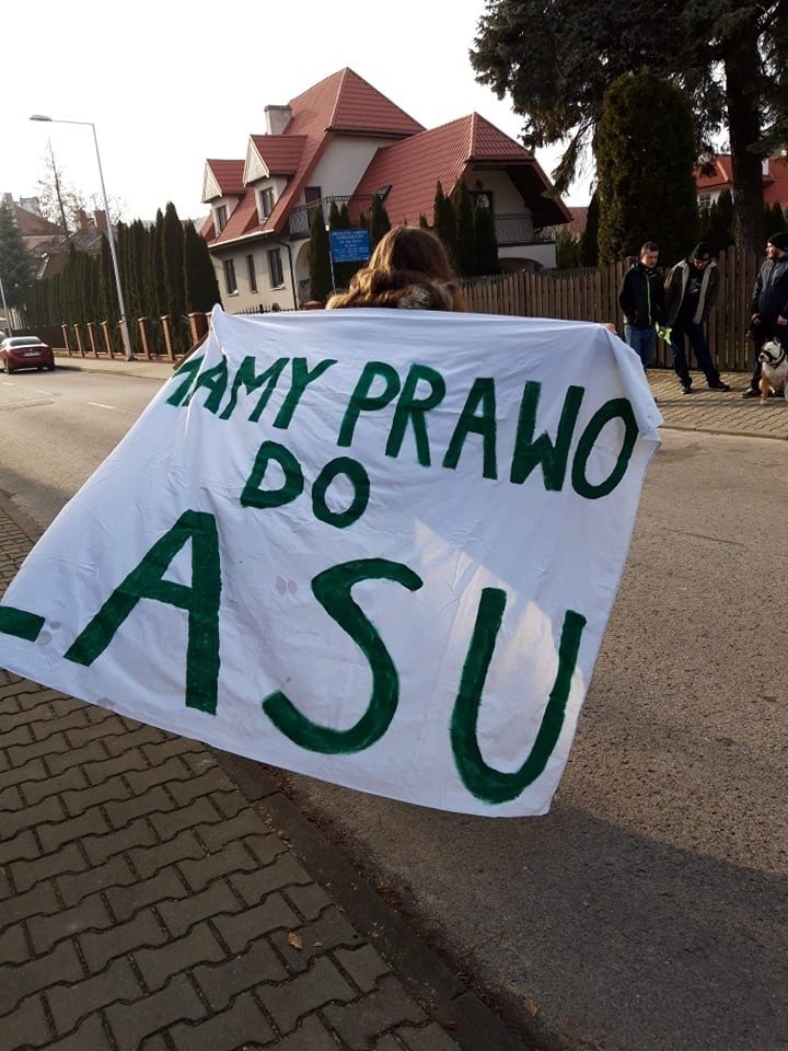 Zamość: "Nie" dla odstrzału dzików i specustawy Ardanowskiego 