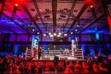 Wielka Gala boksu w Częstochowie: Polsat Boxing Promotions. Sprawdź, jak spisali się zawodnicy WYNIKI, ZDJĘCIA