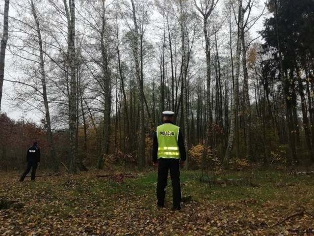 Mężczyzna został odnaleziony na terenie kompleksu leśnego w gminie Gniewkowo.