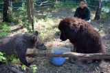 Niedźwiedzica Cisna ma nowego przyjaciela. To pies Baribal