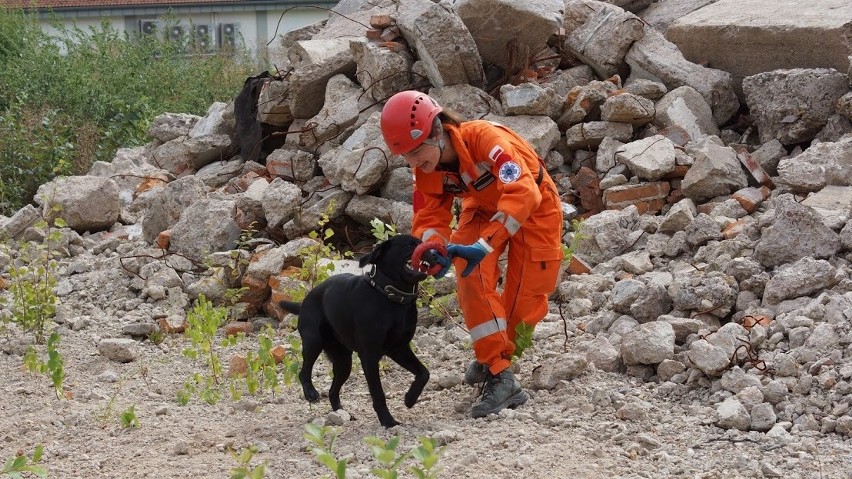 Strażacy i ich psy ratownicze na co dzień pomagają nam....