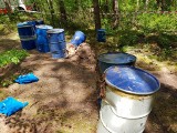 Kolejne beczki z chemikaliami znaleziono w lesie. Tym razem ktoś wyrzucił je w okolicy Łabiszyna [zdjęcia]