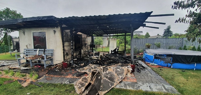 Na terenie ogródków działkowych Jarzębinka w Koronowie w...