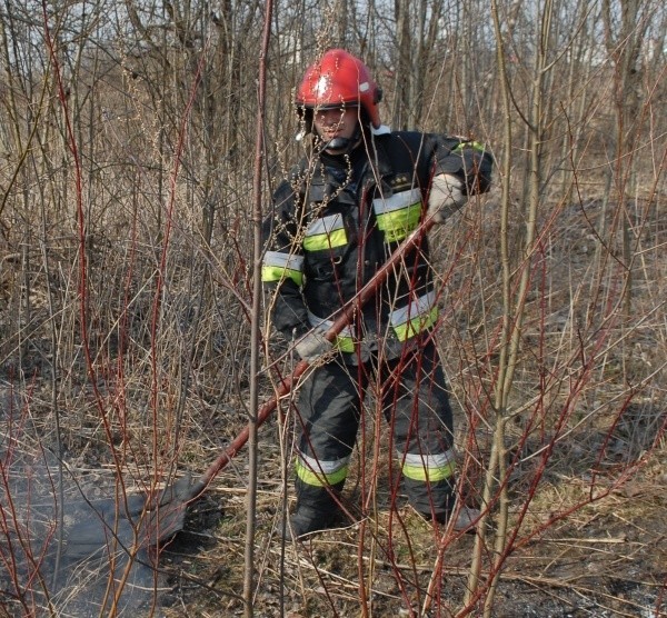 Leśnicy apelują o szczególną ostrożność.