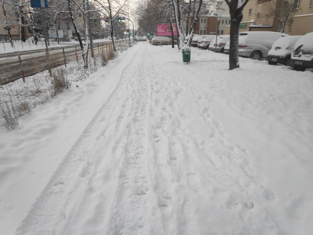 W nocy pokrywa śnieżna w Białymstoku wzrosła o kilka centymetrów