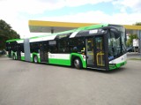 Nowe autobusy w Białymstoku (zdjęcia)