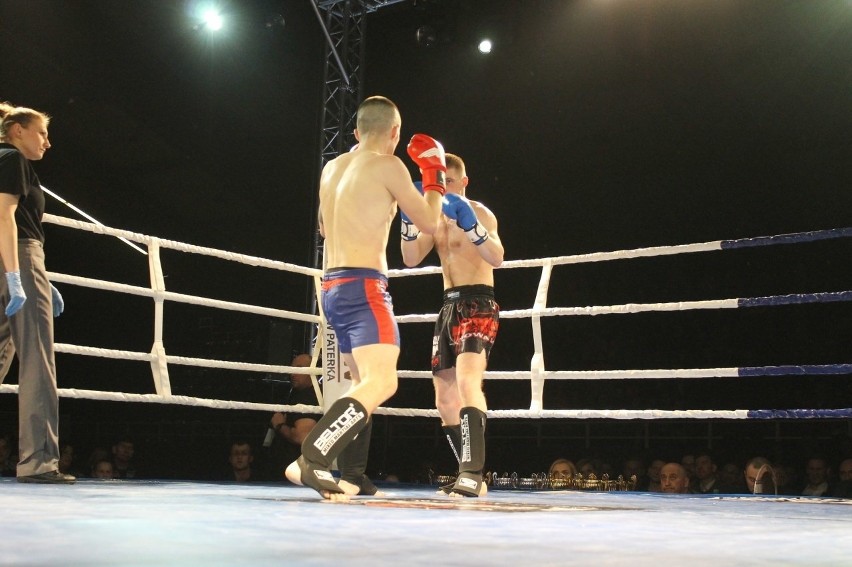 Głogowianie zdominowali Legion Fight Night [Zdjęcia Część 1]