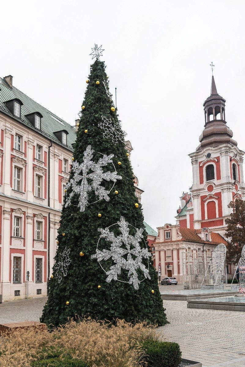 Choinka w Poznaniu rozbłyśnie w tym roku dzień wcześniej.