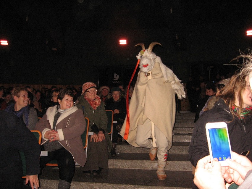 Koza uciekła ze sceny i pognała między widzów!.