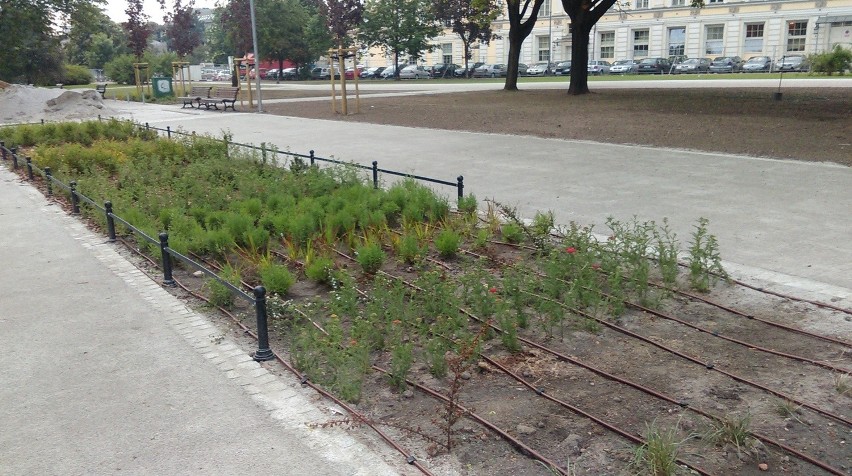 Wrocław: Tak wygląda teraz Promenada Staromiejska. Kiedy otwarcie? (ZDJĘCIA)