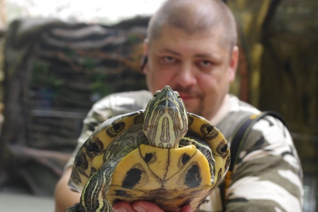 Schwytana w Zamościu samica waży niemal dwa kilogramy