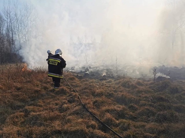 Szydłowieccy strażacy wyjeżdżali w niedzielę do podpaleń lasów i nieużytków aż dziesięciokrotnie.