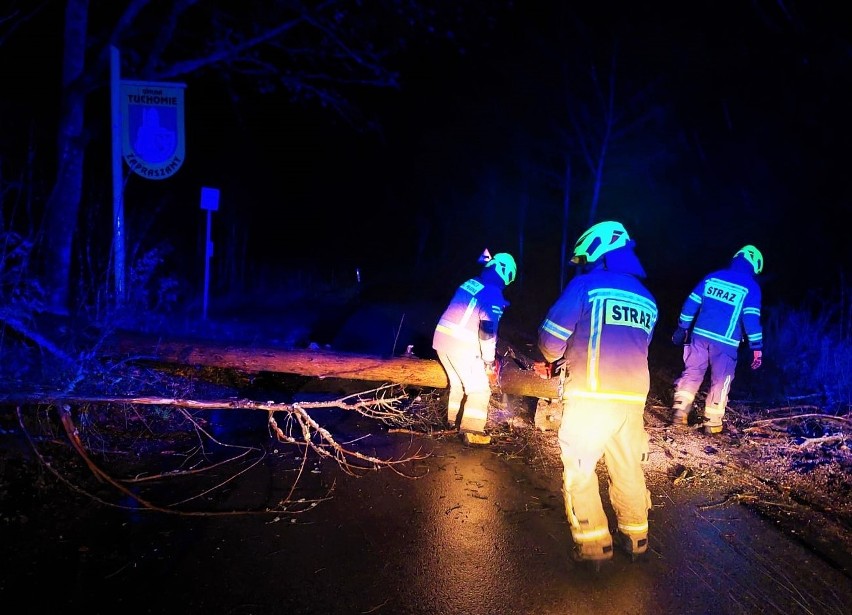 Strażacy usuwali powalone drzewo na odcinku drogi Wądół -...
