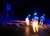 W nocy mocno powiało w powiecie bytowskim. Strażacy usuwali powalone drzewo na trasie Zagony - Wądół 