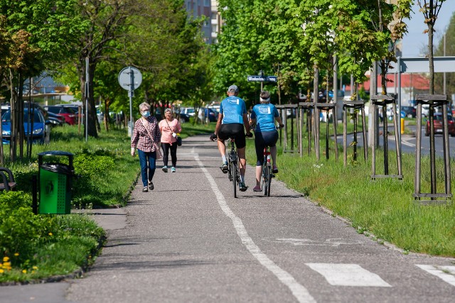 W ciągu roku w Bydgoszczy przybyło 7 km ścieżek rowerowych