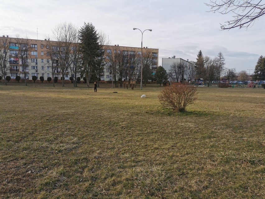 Chrzanów. Trwa budowlany boom. Powstanie 1000 mieszkań na sprzedaż i na wynajem. Gdzie realizowane będą inwestycje? 