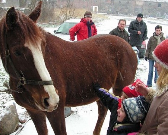 Wielu małych podopiecznych Domu Samotnej Matki zobaczyło konia po raz pierwszy w życiu.