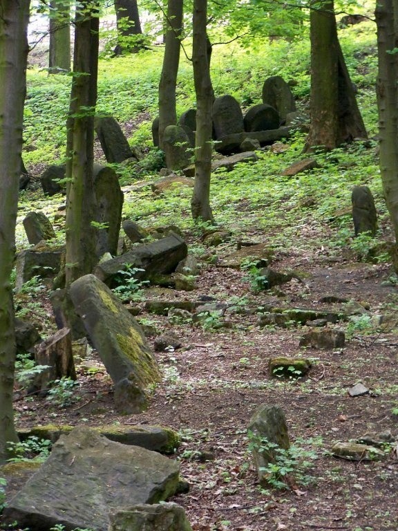 Tak wygląda cmentarz żydowski na Górze Zamkowej