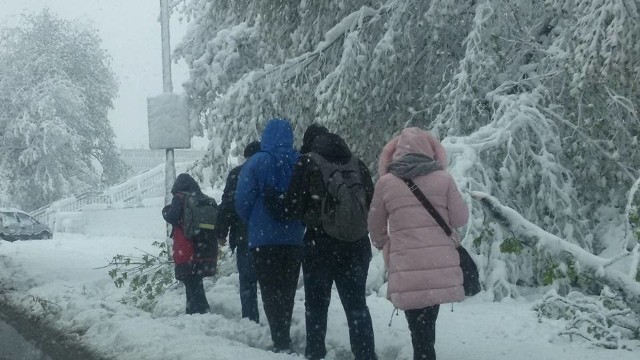 Zobacz, gdzie nie ma prądu. Brak prądu w woj. śląskim spowodowany jest przez atak zimy