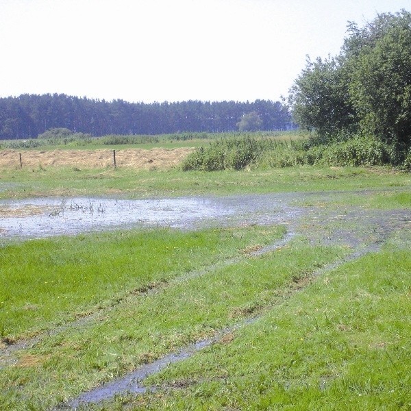 Siano, łąki, pola wszystko w wodzie. Eksperci nie wiedza jak na to zaradzić. - Natura, siła wyższa&#8221; - mówia.