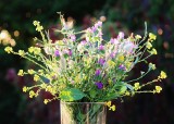 Bukiety z polnych kwiatów - zdjęcia i inspiracje. Są wzruszające i niepowtarzalne