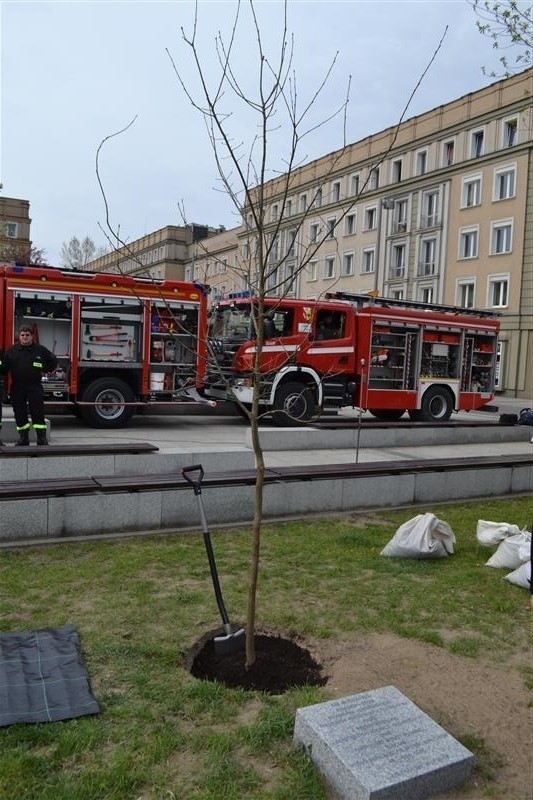 Prezydent Bronisław Komorowski w Częstochowie na Pielgrzymce...