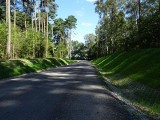 Przebudowa drogi leśnej w Leśnictwach Staropole i Lubrza oraz budowa przepustu na rzece Rakownik