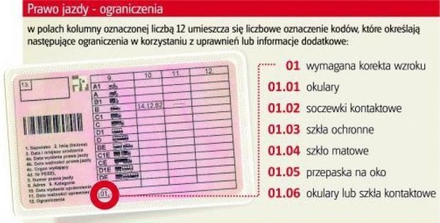 Co oznacza kod 01.01 na prawie jazdy? Wysoki mandat za niewiedzę