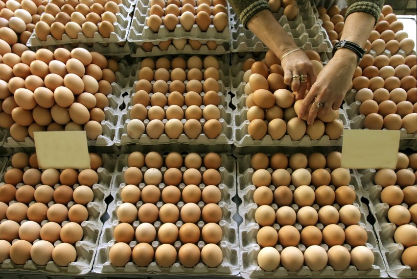 UWAGA! Pałeczki Salmonelli znalezione na jajach z Biedronki. Druga próbka zbadana przez Państwową Inspekcję Sanitarną również skażona