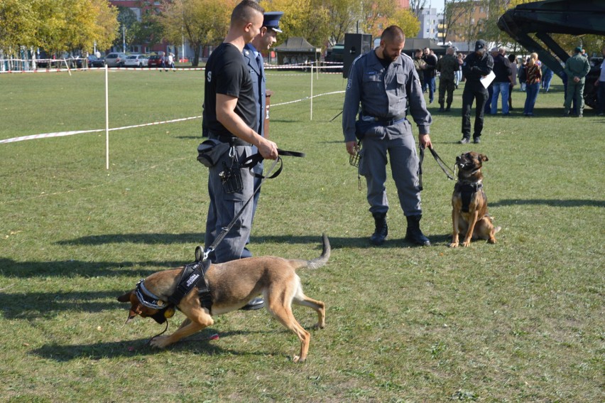 Piknik Niepodległościowy Służb Mundurowych w Opolu.