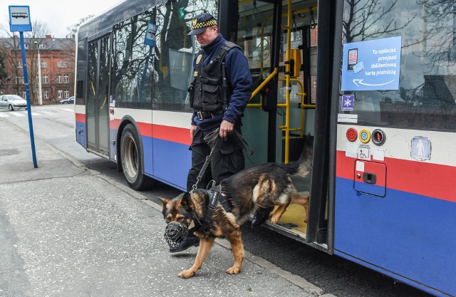 Liczba śle zaparkowanych pojazdów rośnie. Bydgoska straz miejska podsumowała miniony rok.