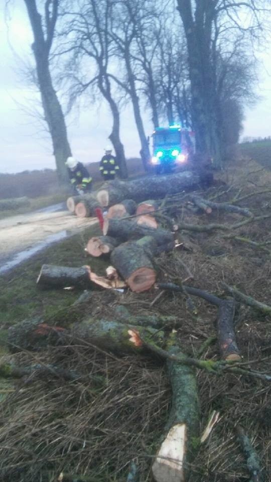 W piątkowy wieczór nad nasz region dotarł front z silnym...