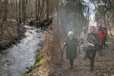 Akcja "Wspólny las" zawitała do Bydgoszczy. MODrzew zorganizował spacer w okolicy Młynu Tańskich [zdjęcia]