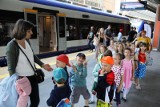 Będą darmowe przejazdy kolejowe dla dzieci, młodzieży i studentów na wakacje? "Reakcja na szalejącą inflację"