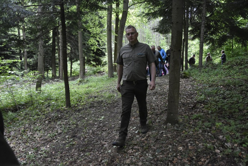 Nowa ścieżka w Lesie Okocimski jest dostępna dla wszystkich....