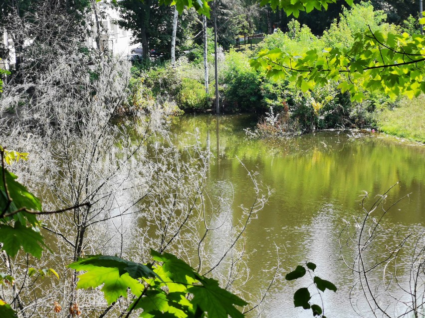 Chrzanów. Woda ze zlewiska Skała zagraża szkole. Ma powstać kanał do rzeki Chechło [ZDJĘCIA, WIDEO]
