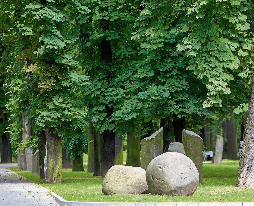 Odnowa parku trwa od dwóch lat. Pojawią się jeszcze kwiaty,...