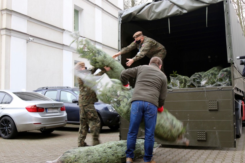 Terytorialsi przekazali choinki do szczecińskich szpitali i domu dziecka. ZDJĘCIA