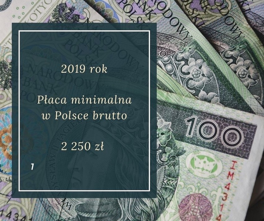 Płaca minimalna 2021 zostanie zamrożona? Zobacz stawki płacy...