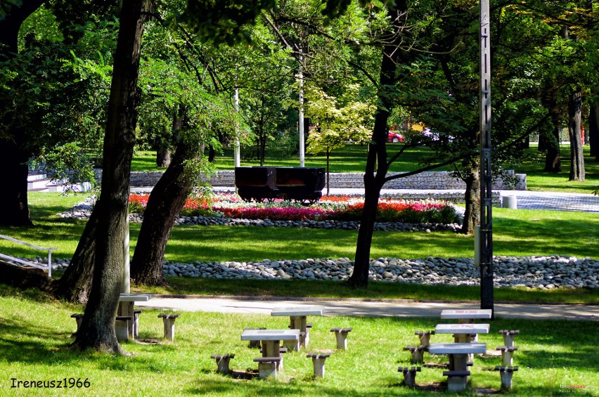Park Bogucki usytuowany jest pomiędzy ulicami Kopalnianą,...